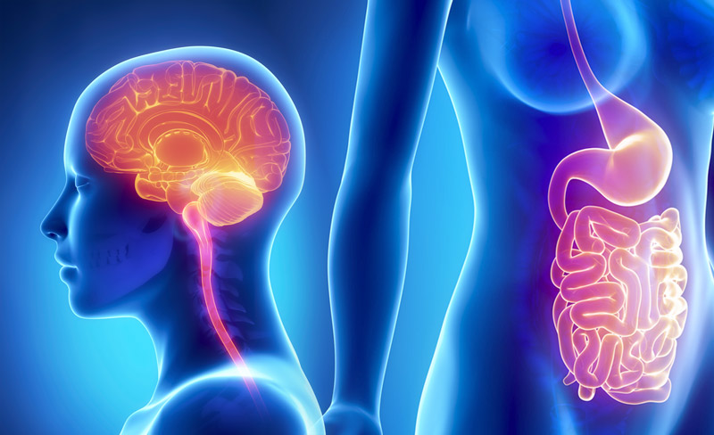 PNEI - Dott.ssa Rosalba Franco - Nutrizionista Osimo