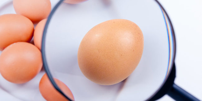 Cuore: le uova tornano sul banco degli imputati