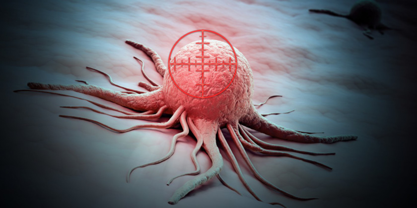 Svelato il meccanismo che può far morire "di fame" i tumori