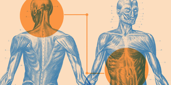 PNEI, evoluzione dell’epigenetica: dal cibo alle emozioni